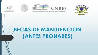 BECAS DE MANUTENCION (ANTES PRONABES)