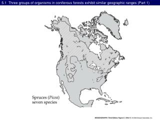 5.1 Three groups of organisms in coniferous forests exhibit similar geographic ranges (Part 1)