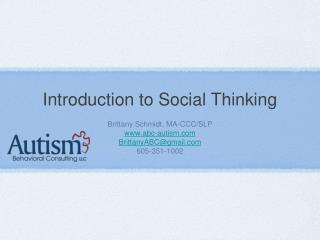 Introduction to Social Thinking