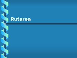 Rutarea