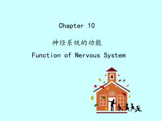 Chapter 10 神经系统的功能 Function of Nervous System