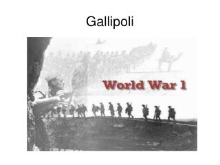 Gallipoli