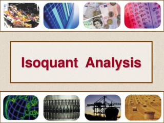 Isoquant Analysis
