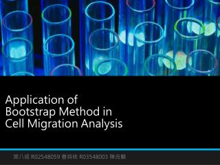 Application of Bootstrap Method in Cell Migration Analysis