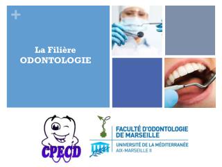 La Filière ODONTOLOGIE