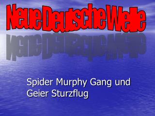 Spider Murphy Gang und Geier Sturzflug
