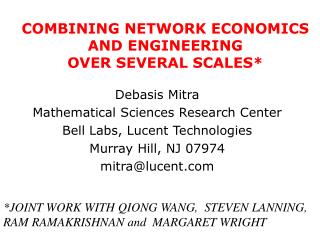 COMBINING NETWORK ECONOMICS AND ENGINEERING OVER SEVERAL SCALES*