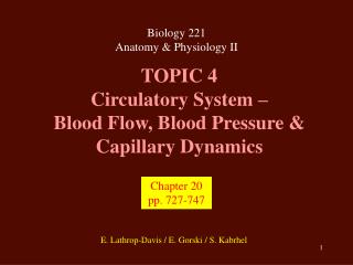 TOPIC 4 Circulatory System – Blood Flow, Blood Pressure &amp; Capillary Dynamics