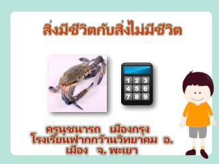 สิ่งมีชีวิตกับสิ่งไม่มีชีวิต