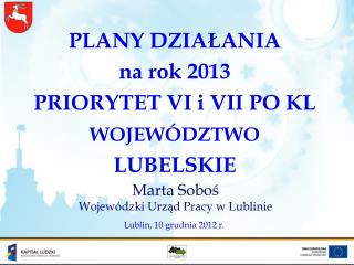 PLANY DZIAŁANIA na rok 2013 PRIORYTET VI i VII PO KL WOJEWÓDZTWO LUBELSKIE