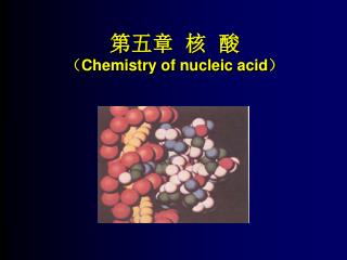 第五章 核 酸 （ Chemistry of nucleic acid）