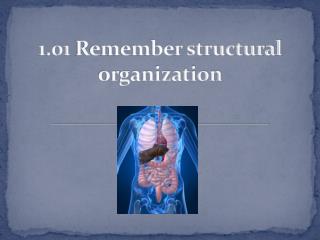 1.01 Remember structural organization