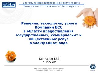 Компания BSS г. Москва