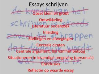Essays schrijven