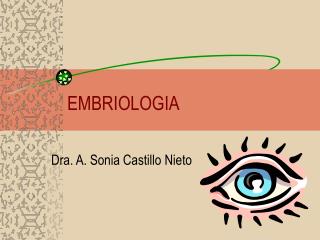 EMBRIOLOGIA