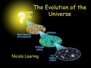The Evolution of the Universe