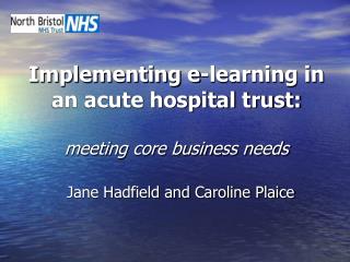 Implementing e-learning in an acute hospital trust: meeting core business needs