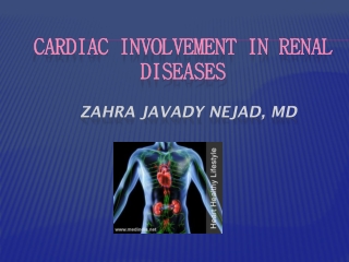 Cardiac involvement in RENAL DISEASES ZAHRA JAVADY NEJAD, MD