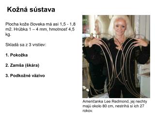 Kožná sústava