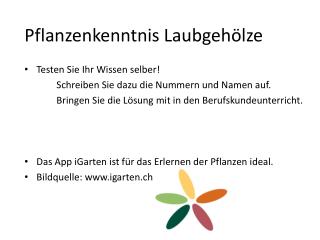 Pflanzenkenntnis Laubgehölze