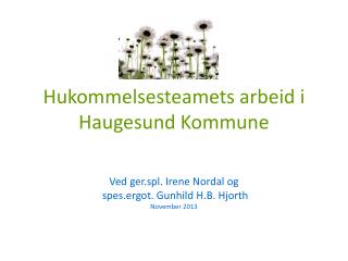 Hukommelsesteamets arbeid i Haugesund Kommune