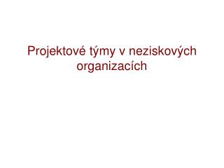 Projektové týmy v neziskových organizacích