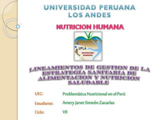 UNIVERSIDAD PERUANA LOS ANDES