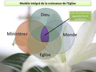 Modèle intégré de la croissance de l’Eglise