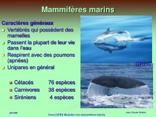 Mammifères marins