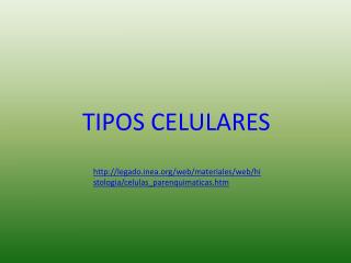 TIPOS CELULARES