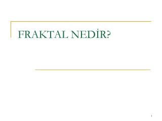 FRAKTAL NEDİR?