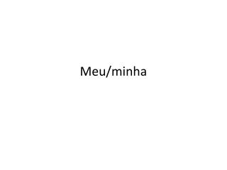 Meu/minha