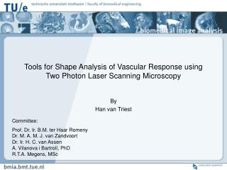 Tools for Shape Analysis of Vascular Response using Two Photon Laser Scanning Microscopy