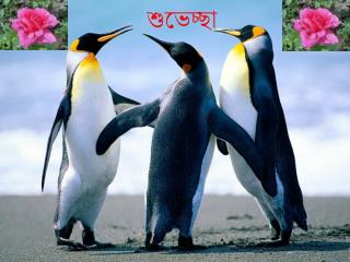 শুভেচ্ছা