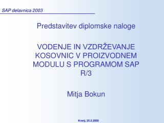 SAP delavnica 2003