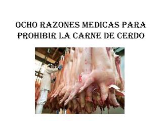 Ocho razones medicas para prohibir la carne de cerdo