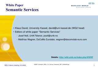 White Paper Semantic Services