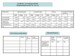 Sundheds- og handicapudvalget Budgetopfølgning 2007 pr. 30. juni