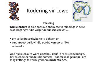 Kodering vir Lewe