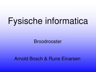 Fysische informatica