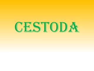 CESTODA