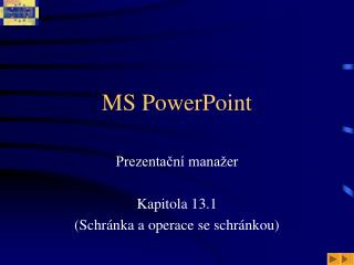 MS PowerPoint