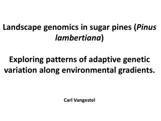 Why associations with measures of aridity?