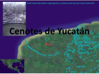 Cenotes de Yucatán