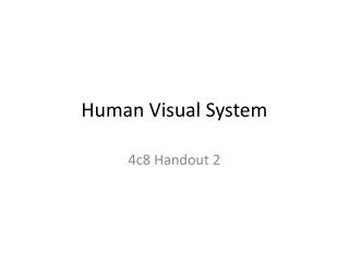 Human Visual System