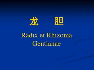 龙 胆 Radix et Rhizoma Gentianae