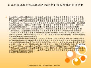 以二維電泳探討紅血球形成過程中蛋白基因體之表達變動