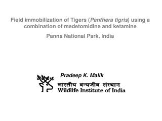 Pradeep K. Malik