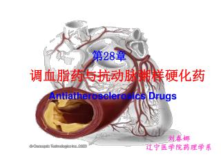 第 28 章 调血脂药与抗动脉粥样硬化药 Antiatherosclerosics Drugs