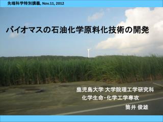 バイオマスの石油化学原料化技術の開発